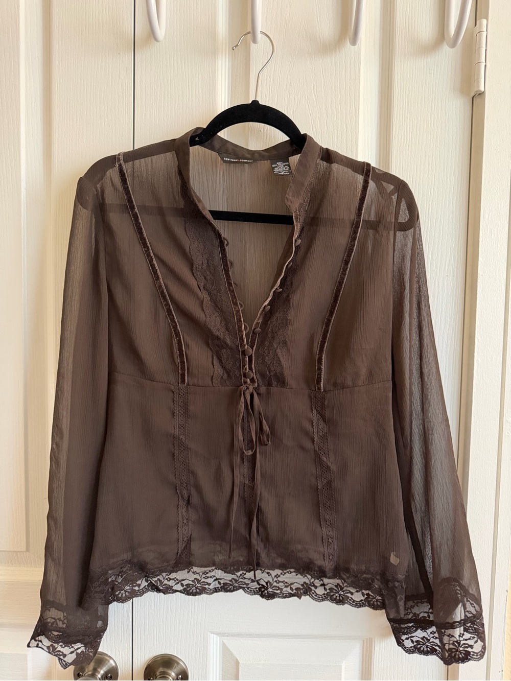 Sheer Chocolate Brown Top